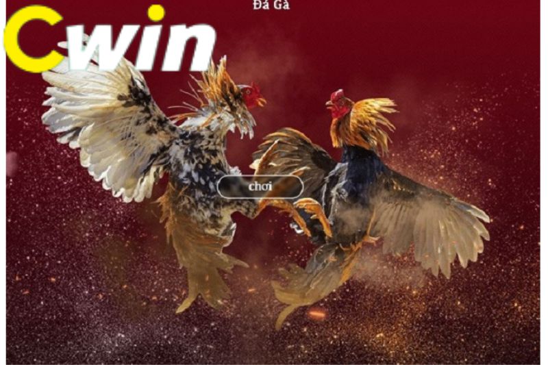Tổng quan về các hoạt động kinh doanh của Công ty Giải trí Zet88 - Zet88