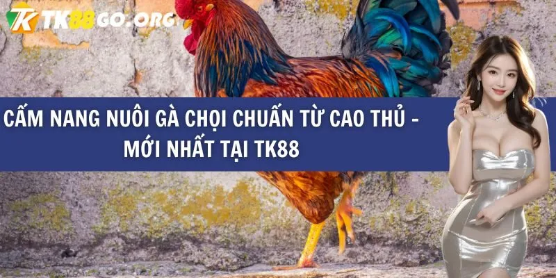 Tôi có thể vào Bongdalu bằng cách nào? - Bongdalu