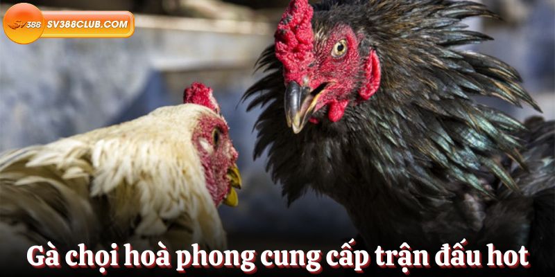 Những tựa game tuyệt vời trong hạng Xo88 1 và Xo88 - Xo88