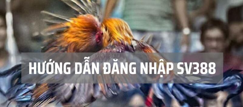 Hướng dẫn chi tiết dành cho người chơi cá cược về cách tham gia các hoạt động khuyến mãi cấp độ Sao789 - Sao789