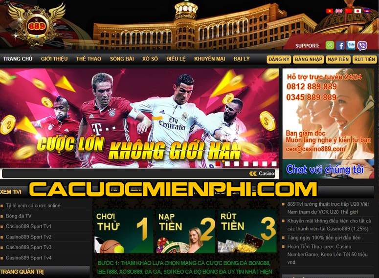 Các sự kiện cấp Nohu luôn tràn đầy hứng khởi - Nohu