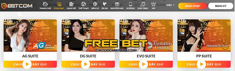 Các tài sản được xếp hạng Ricwin có những lợi thế không thể cưỡng lại - Ricwin