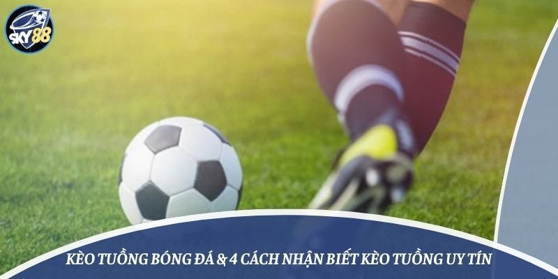 Giao diện di động của Vn6 rất bắt mắt - Vn6