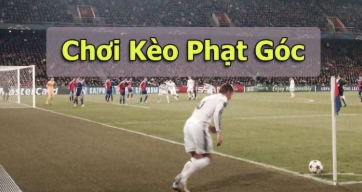 Việc lựa chọn điểm đến du lịch được xếp hạng Fun88 mang lại nhiều lợi ích - Fun88
