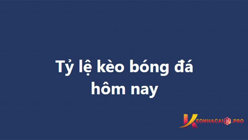 Bạn có thể dễ dàng tải xuống ứng dụng Pkwin để có được Hướng dẫn sử dụng Pkwin - Pkwin