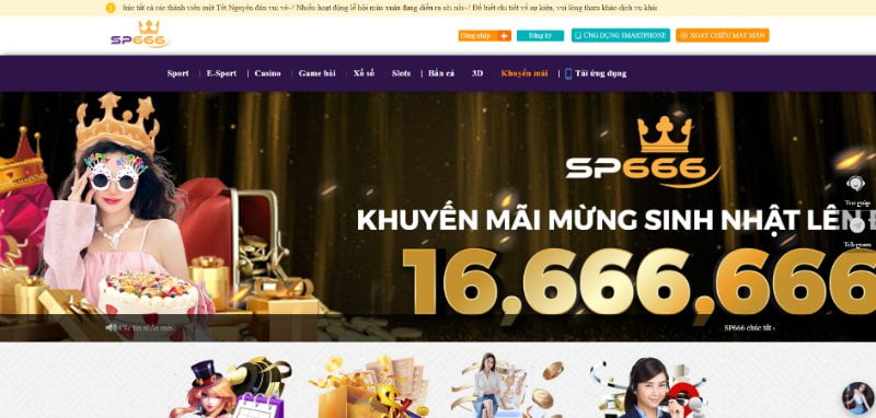 8Day cung cấp các ưu đãi và chương trình khuyến mãi, bao gồm cả mã giảm giá - 8Day