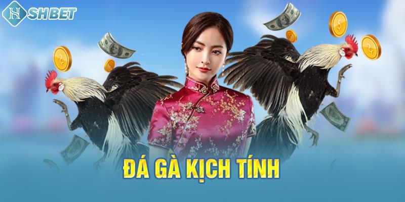Giới thiệu và Cơ chế Thưởng của Trò chơi Thẻ bài Cấp độ Gnbet - Gnbet