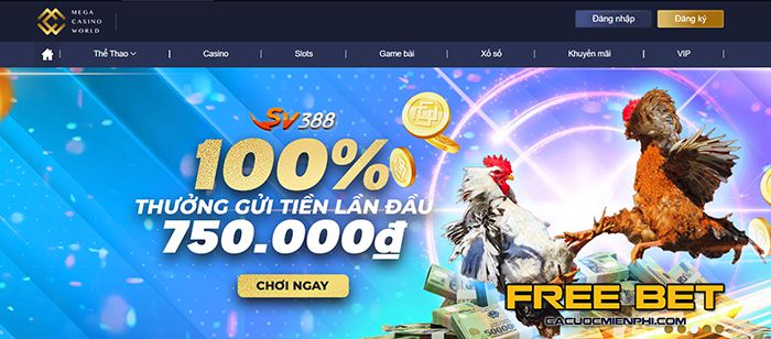 Việc lấy thông tin Sv66 diễn ra nhanh đến mức nào? - Sv66
