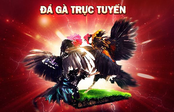 Ưu điểm và đặc điểm của Sv88 - Sv88