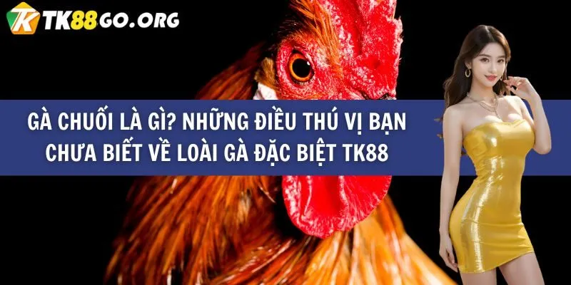 Độ tuổi tối đa để tham gia cuộc thi Gowin King là bao nhiêu? - Gowin