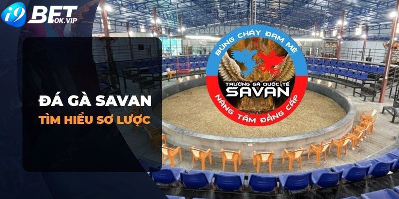 Câu hỏi thường gặp về các cổng game uy tín được xếp hạng Raybet - Raybet
