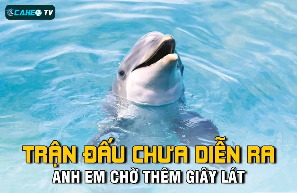 Quá trình tải xuống ứng dụng Ww88 diễn ra nhanh chóng và thuận tiện cho người chơi - Ww88
